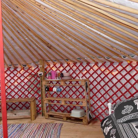 Alder Yurt Wych Elm Glamping Hotel เฮลสตัน ภายนอก รูปภาพ