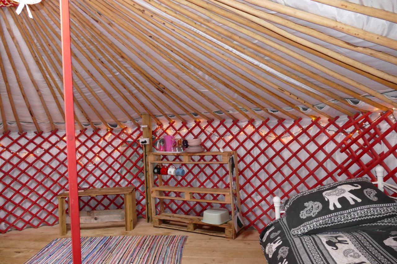 Alder Yurt Wych Elm Glamping Hotel เฮลสตัน ภายนอก รูปภาพ