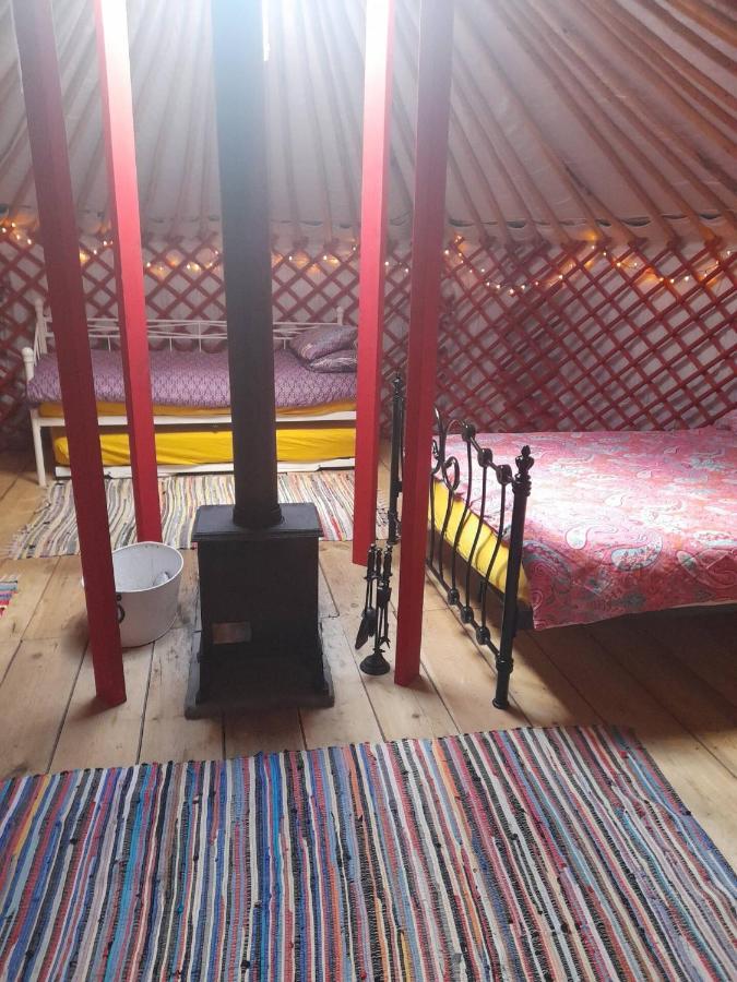 Alder Yurt Wych Elm Glamping Hotel เฮลสตัน ภายนอก รูปภาพ