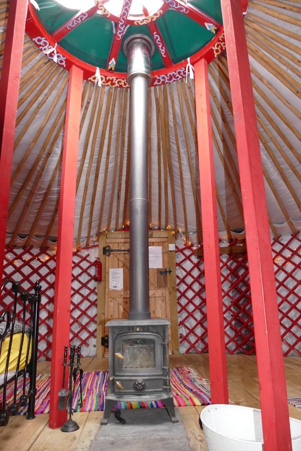 Alder Yurt Wych Elm Glamping Hotel เฮลสตัน ภายนอก รูปภาพ